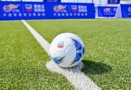 足球满级传球震惊全球 足球满级传球震惊全球