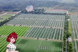 关于实力明显增强,继续战胜对手成为广州队目标的信息 关于实力明显增强,继续战胜对手成为广州队目标的信息